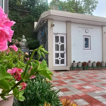 Sunrise Villa Shimla-2