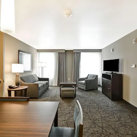 Homewood Suites By Hilton Phoenix Tempe Asu Area-3
