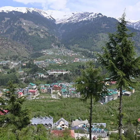Hotel Seven Hills Manali-3