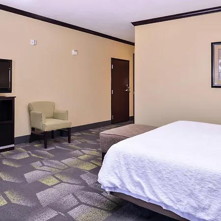 Hampton Inn & Suites Big Spring-3