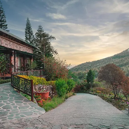 Tree Of Life Resort, Dehradun Foothills-3