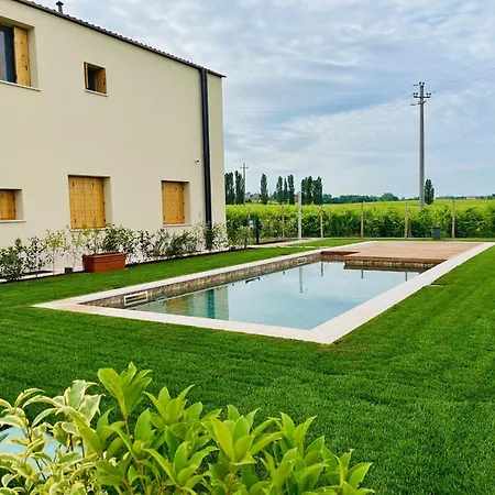 Il Vigneto-2