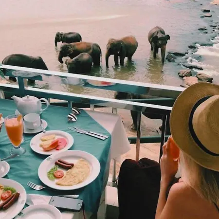 Hotel Elephant Park - Most Elephant Bathing View Rooms In Pinnawala-2