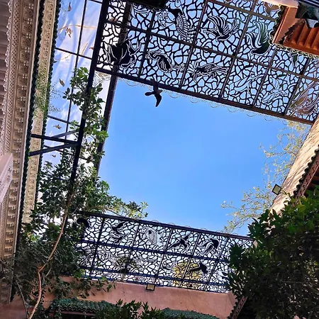 Riad Toyour- Riad Of Birds-2