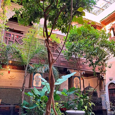 Riad Toyour- Riad Of Birds-3