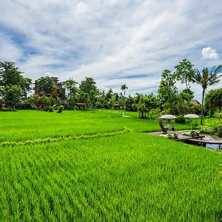 KajaNe Yangloni at Ubud Bali-3