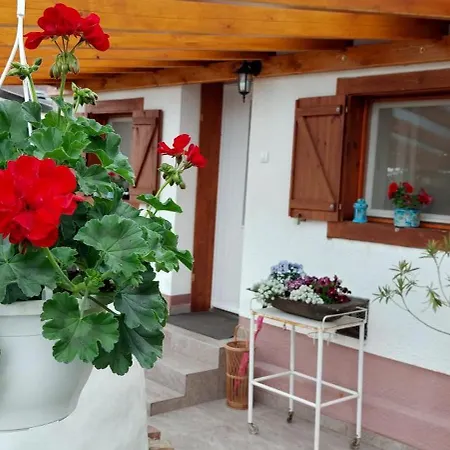 Small House Apartment-2