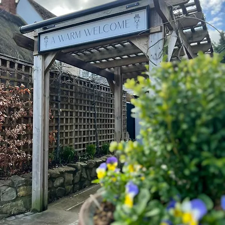 The Lion, Tredington-2