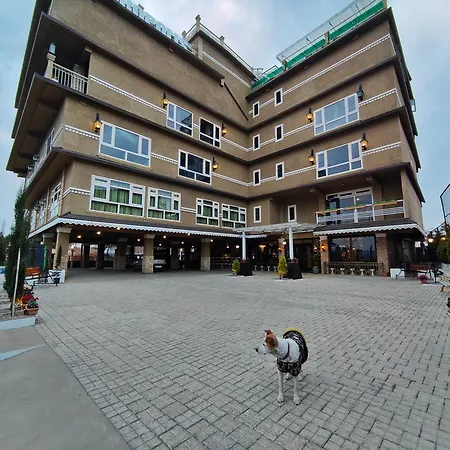 Hotel Acropolis-2