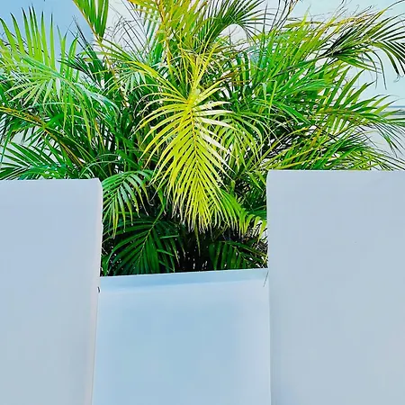 Cih Apartments-3