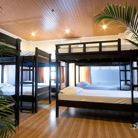 Nest Resort-2