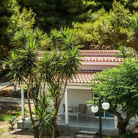 Mimoza Beach-3