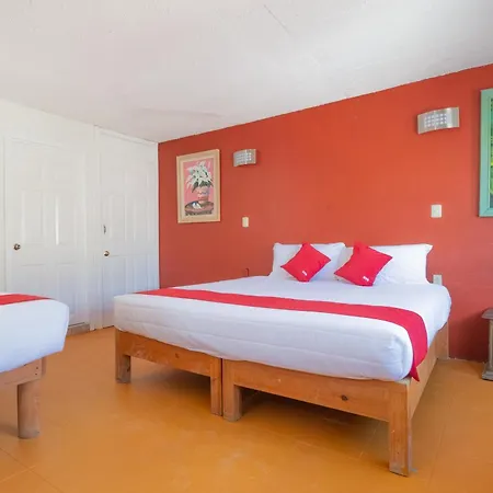 OYO Hotel Meson de la Concepcion-2