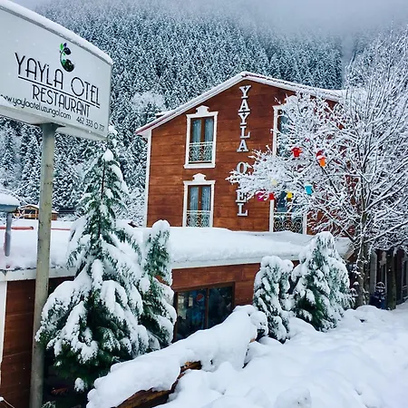 Uzungol Yayla Hotel-2