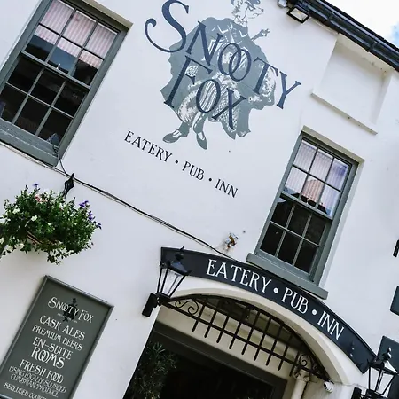 Snooty Fox-3