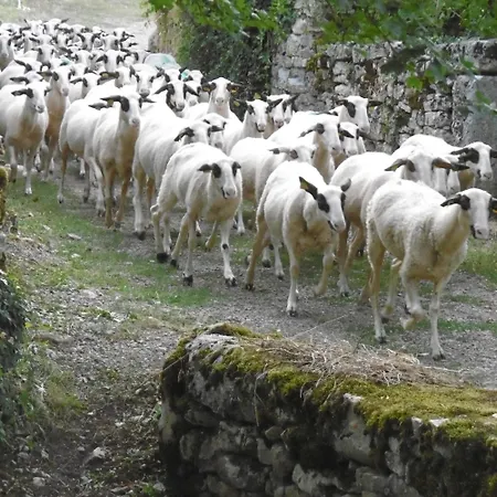 les roulottes du LOT-3