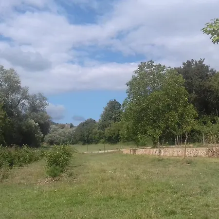 Aux vignes-2