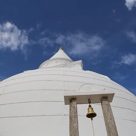 The Yala City Guest House-3