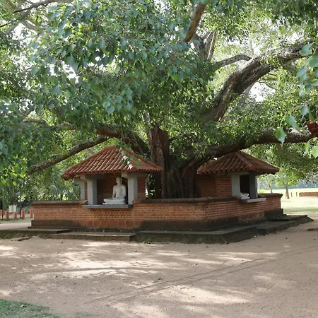 The Yala City Guest House-2