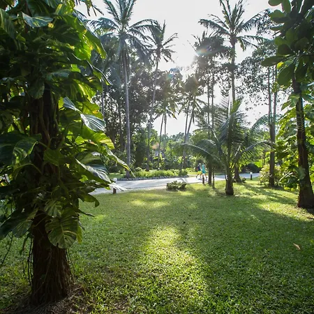 Long Beach Lodge, Chaweng Beach, Koh Samui-3