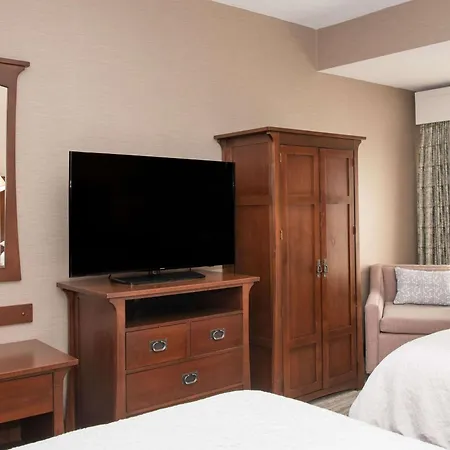 Hampton Inn & Suites Rochester/Victor-3
