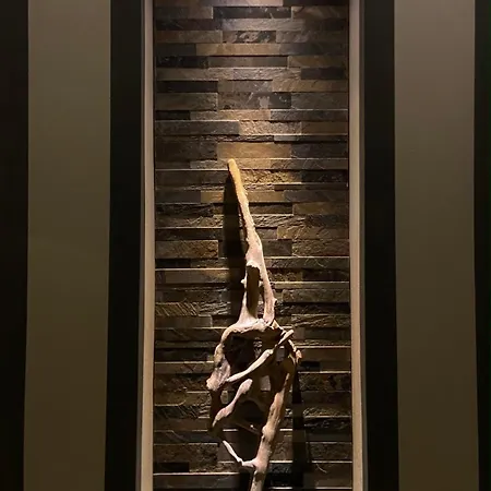 Hotel Pino-3