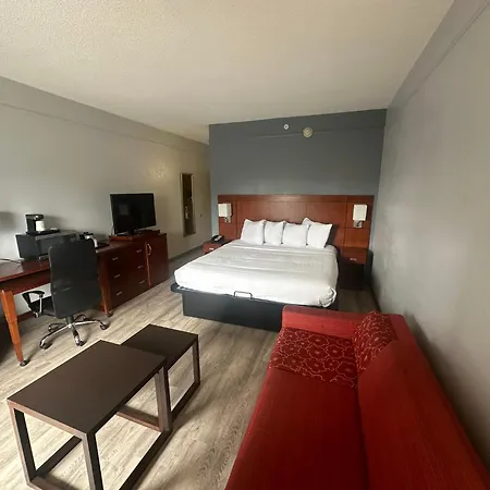 Super 8 By Wyndham Dallas Love Field Airport-2