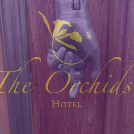 The Orchids-2