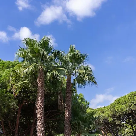 Aparthotel Las Palmeras Castelldefels-2