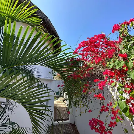 Beachfront Paradise Boutique Hotel-2