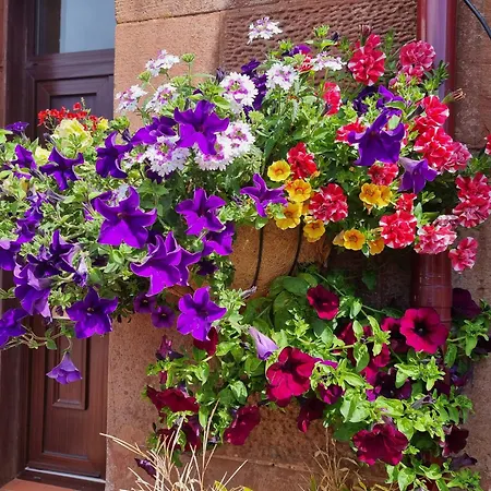 St Leonards Guest House-2