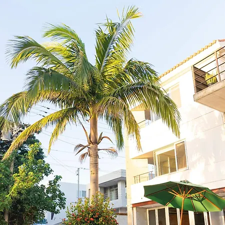 Sky Ocean - Ishigaki Eco-Resort - Newly Renovated-3
