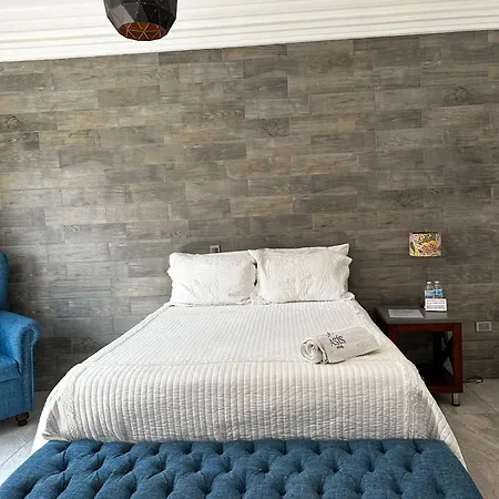 Hotel Asís-3