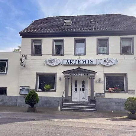 Hotel Restaurant Artemis-3