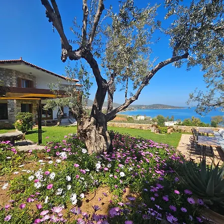 Yialasi Hotel-2