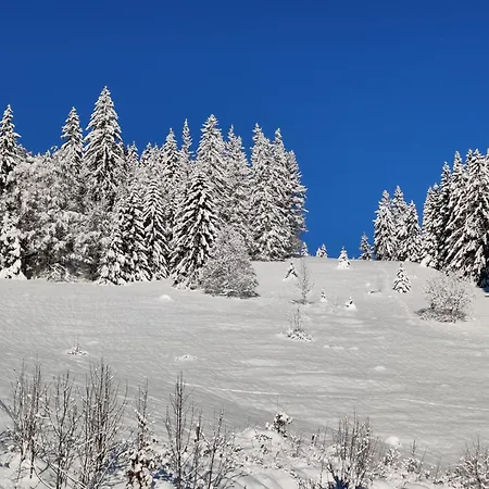 Berggasthaus Präger Böden-2