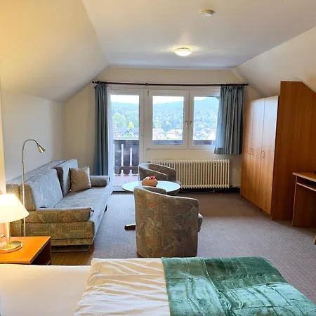 Harzhotel Grünett-3