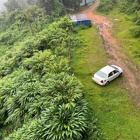 Tree House Munnar-3