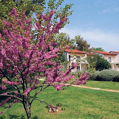Ai Pini Medulin Resort-3