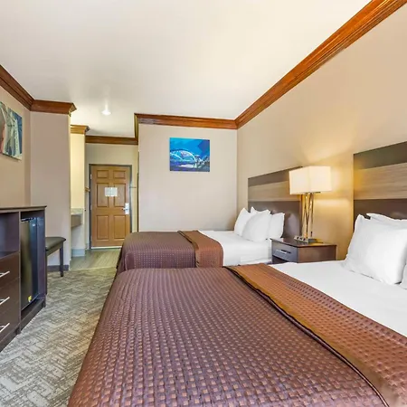 Best Western Fort Worth Inn & Suites-3