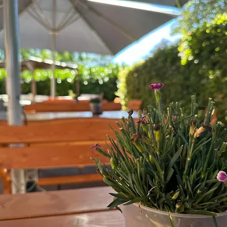 Hotel Schultheiss Hameln-3