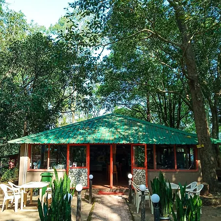 The Jungle Resort Amba-3