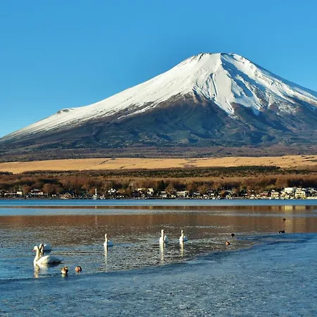Toyoko Inn Shin-Fuji-Eki Minami-Guchi-2