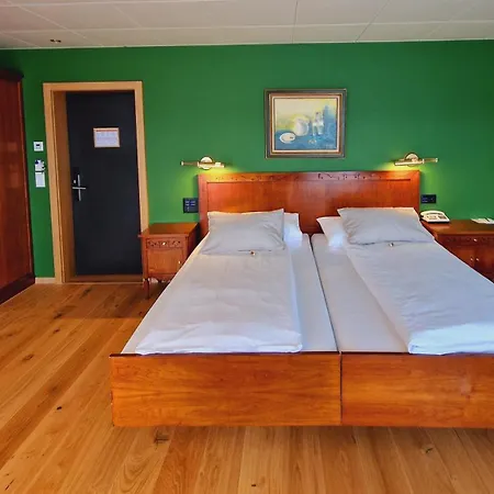 Engimatt City & Garden Hotel-3