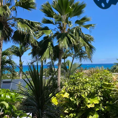 Residence Caraibes Bonheur-3
