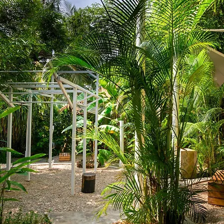 Zuri Zanzibar-2
