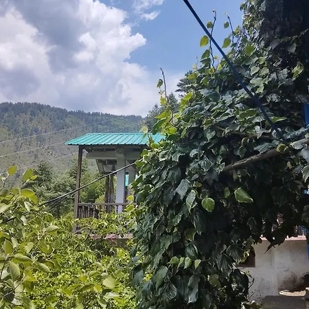 Tirthan View Homestay-3