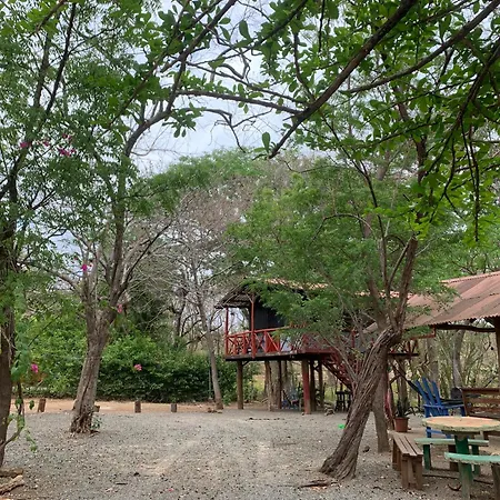Nieves Surf Hostel And Camping-3