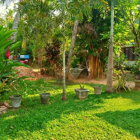 Aknara River Rest-3