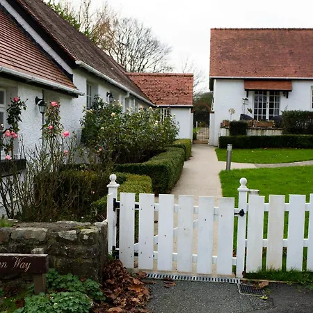 The Penrallt Country House Hotel-2